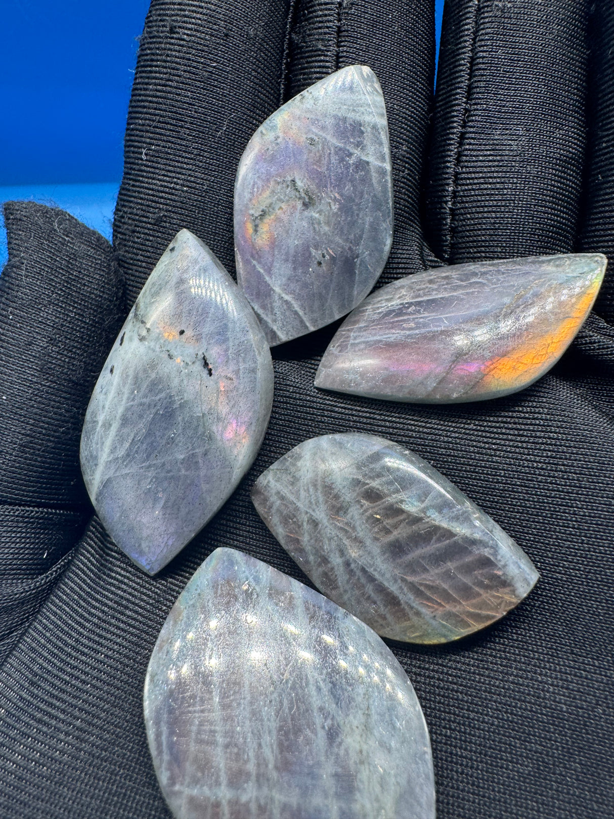 Labradorite Cabochon 5pc Lot - 49g