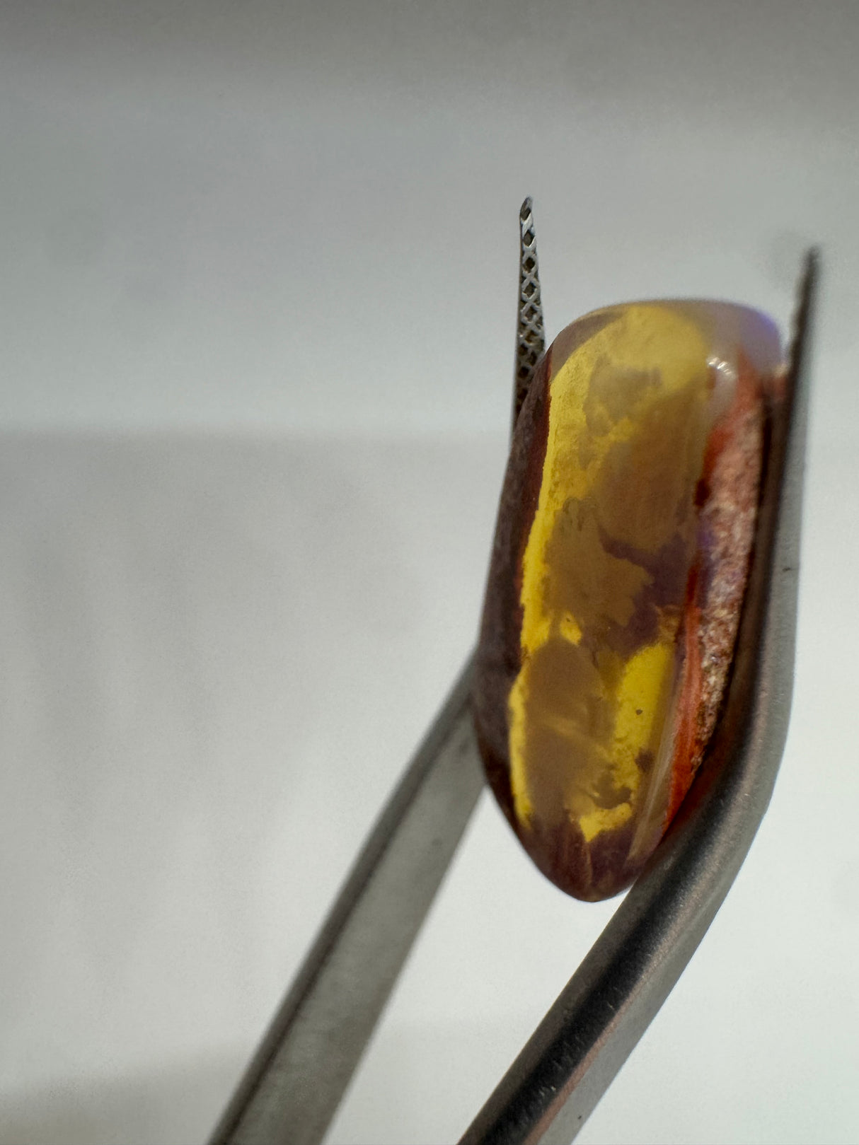 Australia Opal - 5.10g