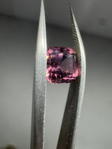 Tourmaline - 2.03ct