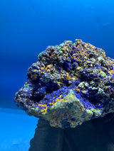 Azurite Specimen - 449g