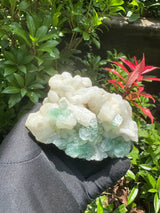 Green Apophyllite - 786g