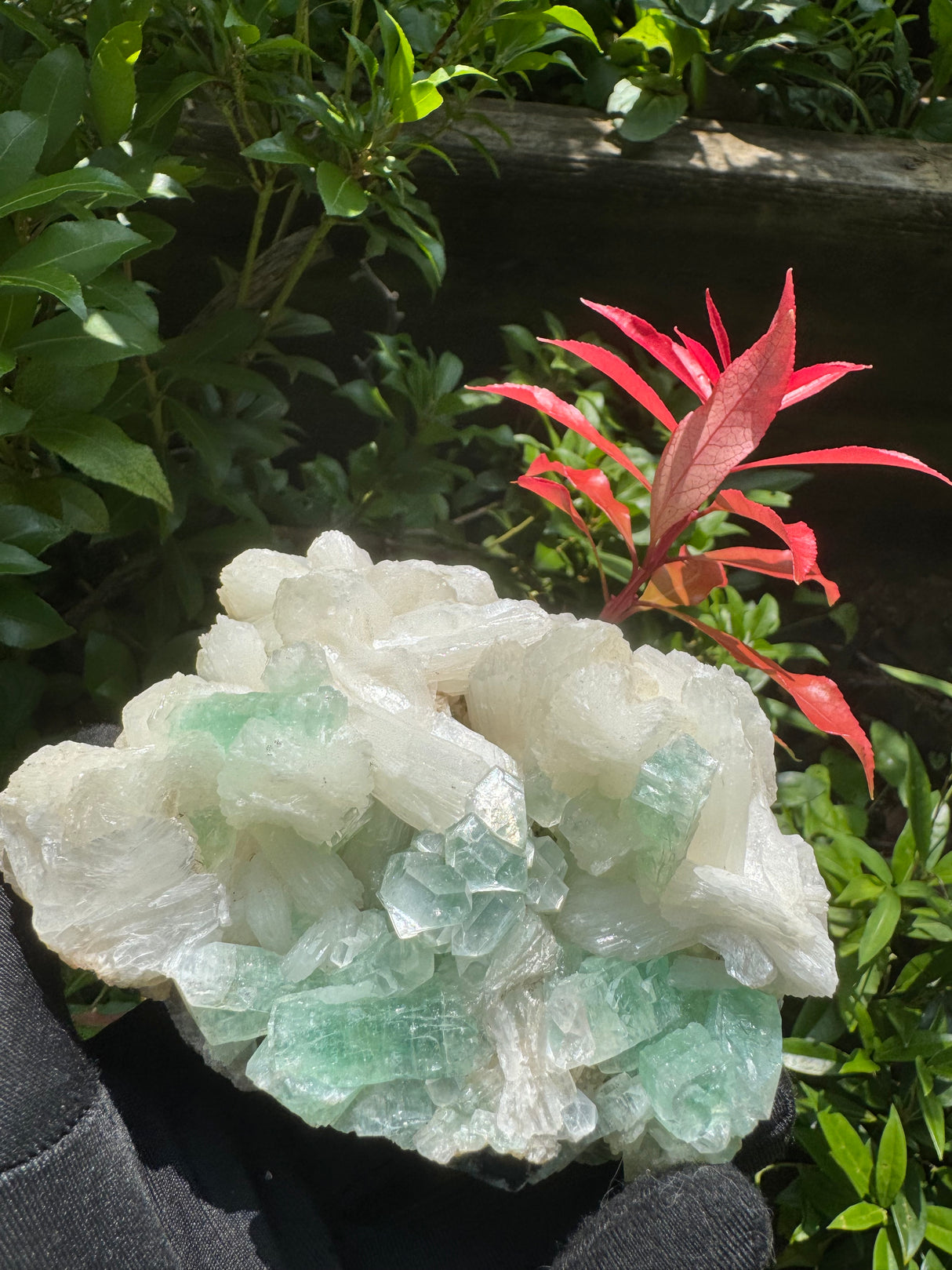 Green Apophyllite - 786g