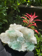 Green Apophyllite - 786g