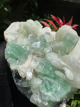 Green Apophyllite - 786g