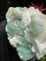 Green Apophyllite - 786g