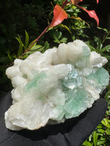 Green Apophyllite - 786g