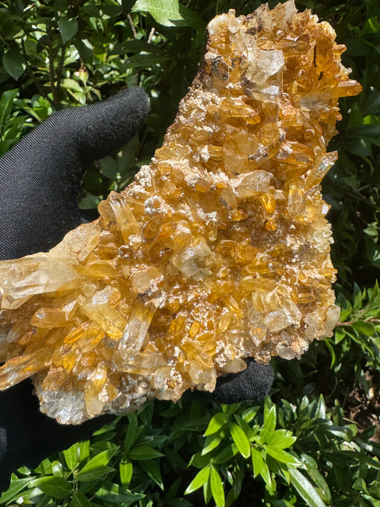 Iron Stained Quartz - 824g