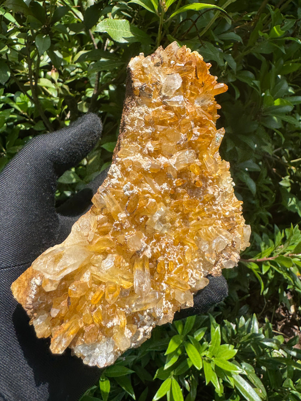 Iron Stained Quartz - 824g