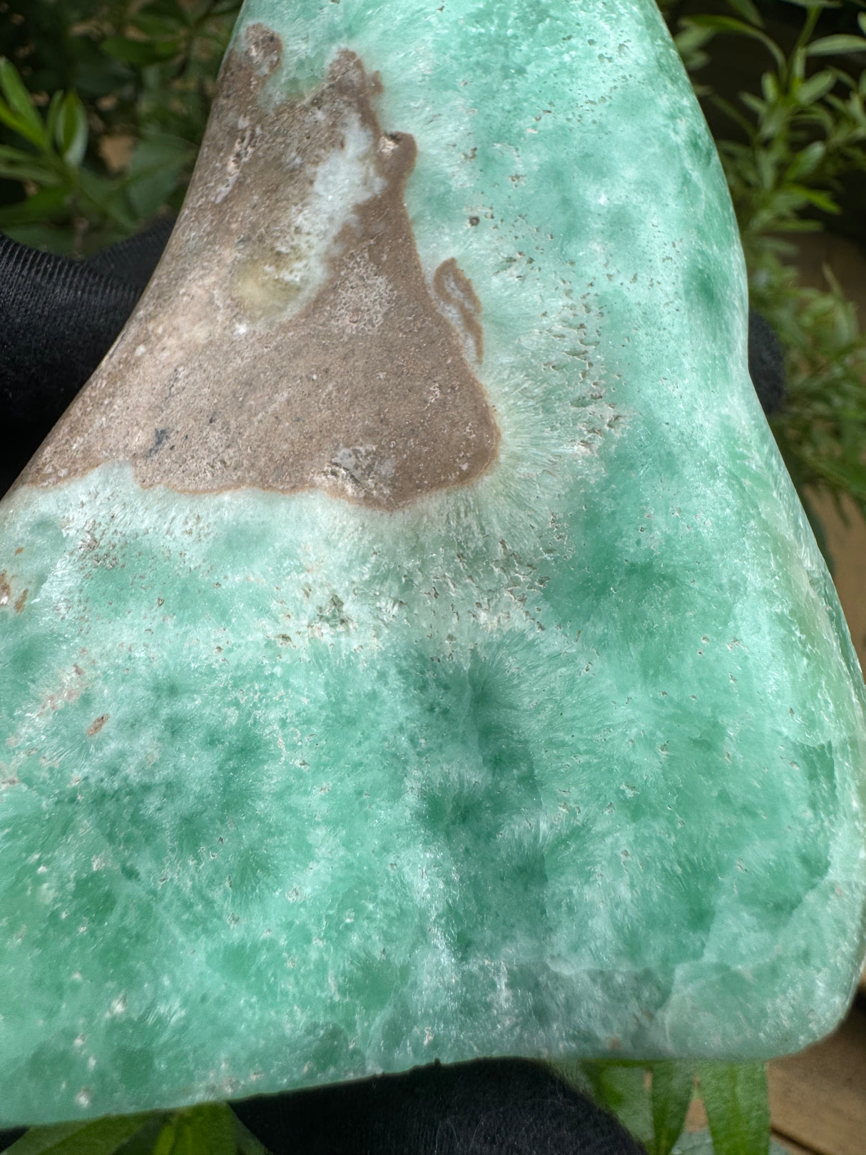 Aragonite Freeform - 619g
