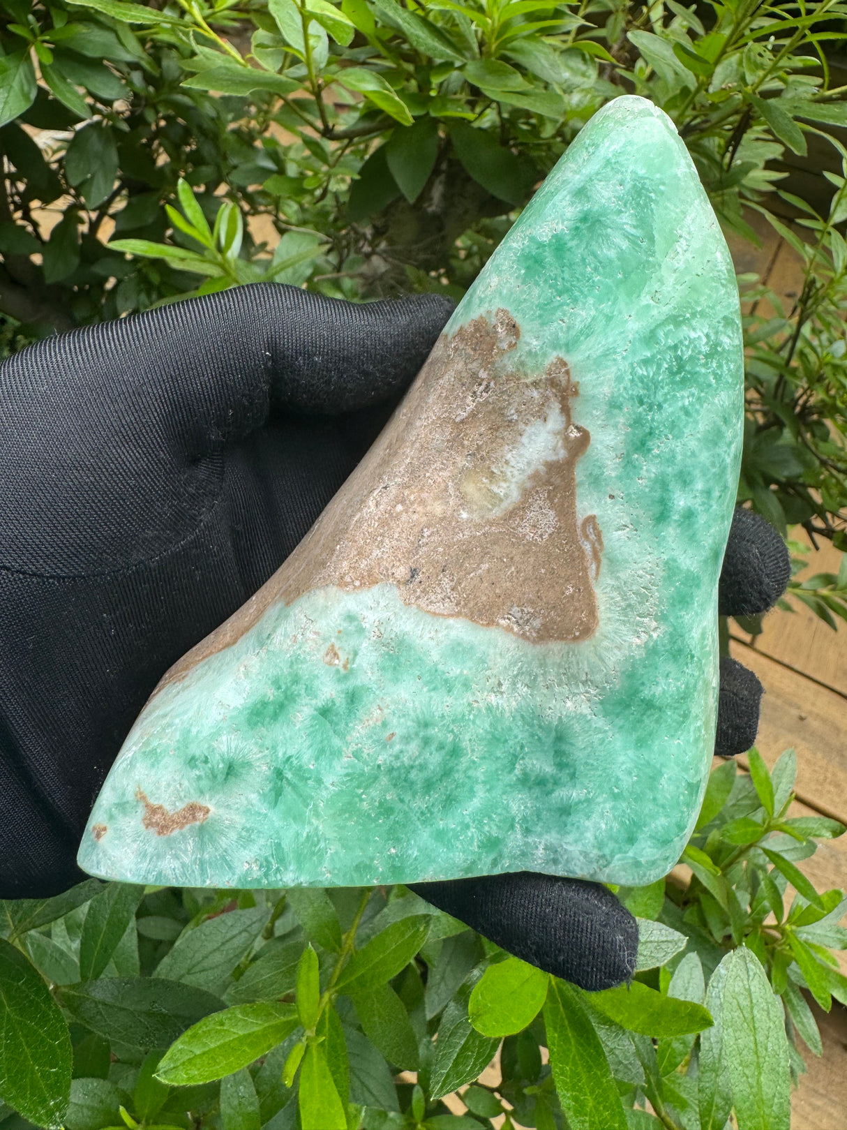 Aragonite Freeform - 619g