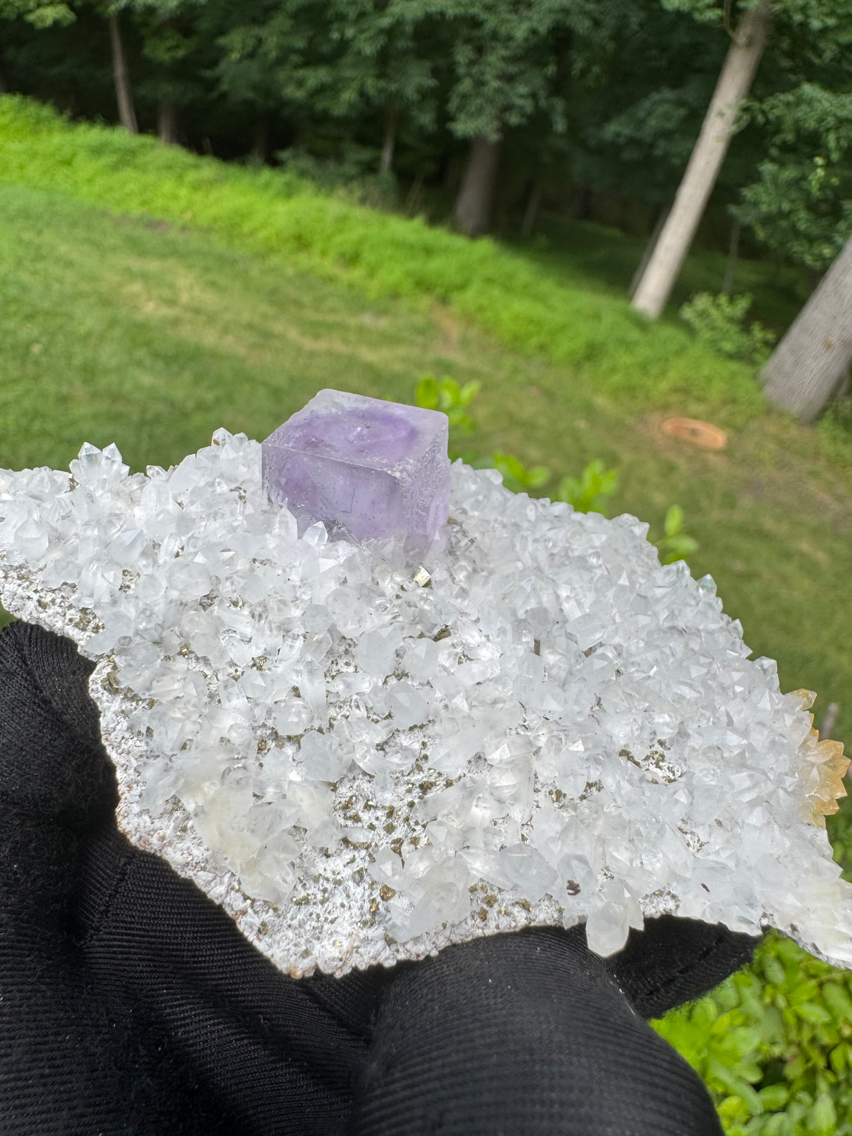 Window Fluorite Specimen - 70g