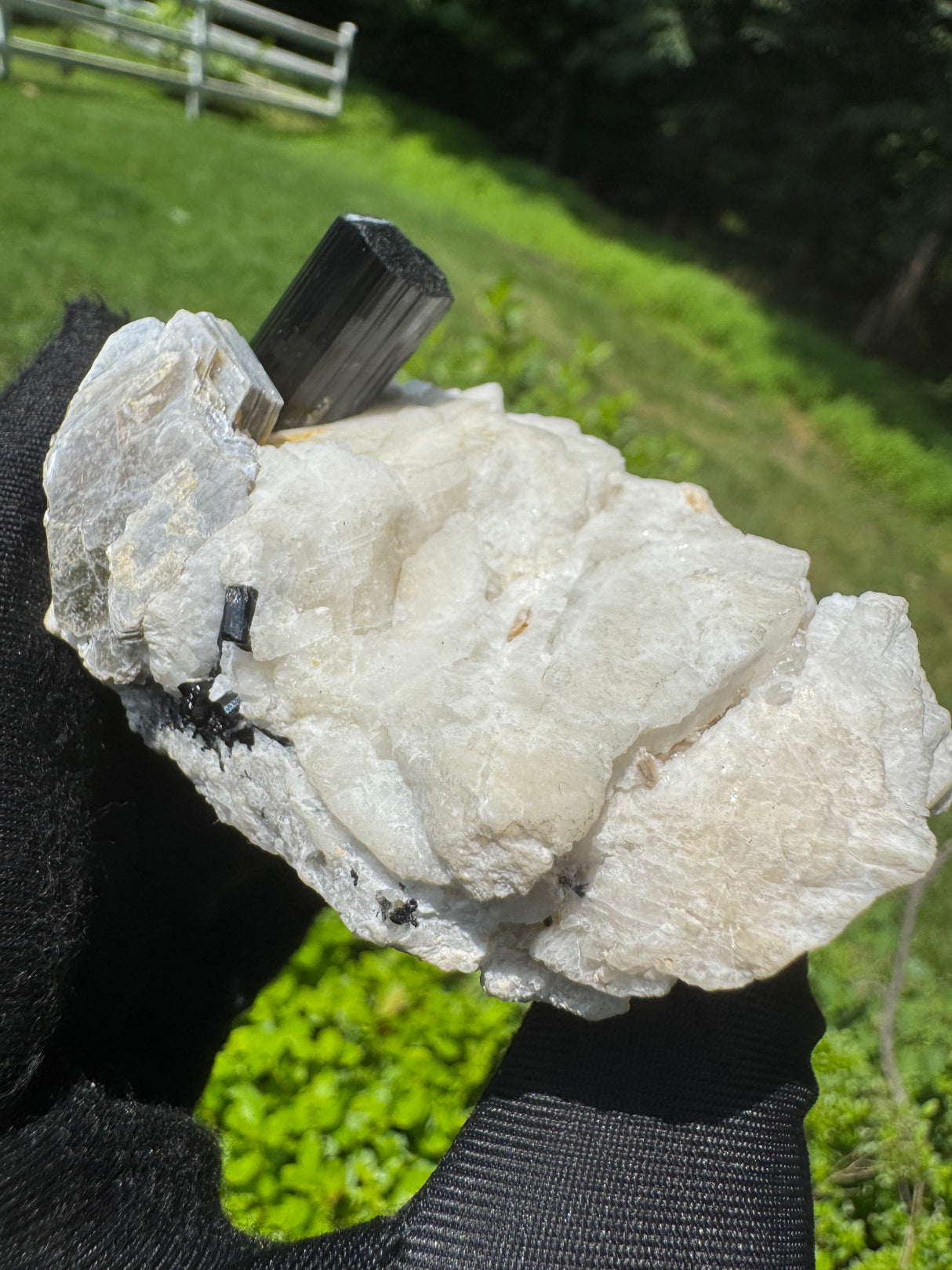 Black Tourmaline - 218g