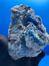 Sodalite Specimen - 312g