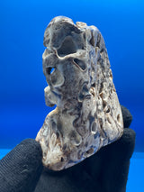 Chocolate Calcite Freeform - 155g