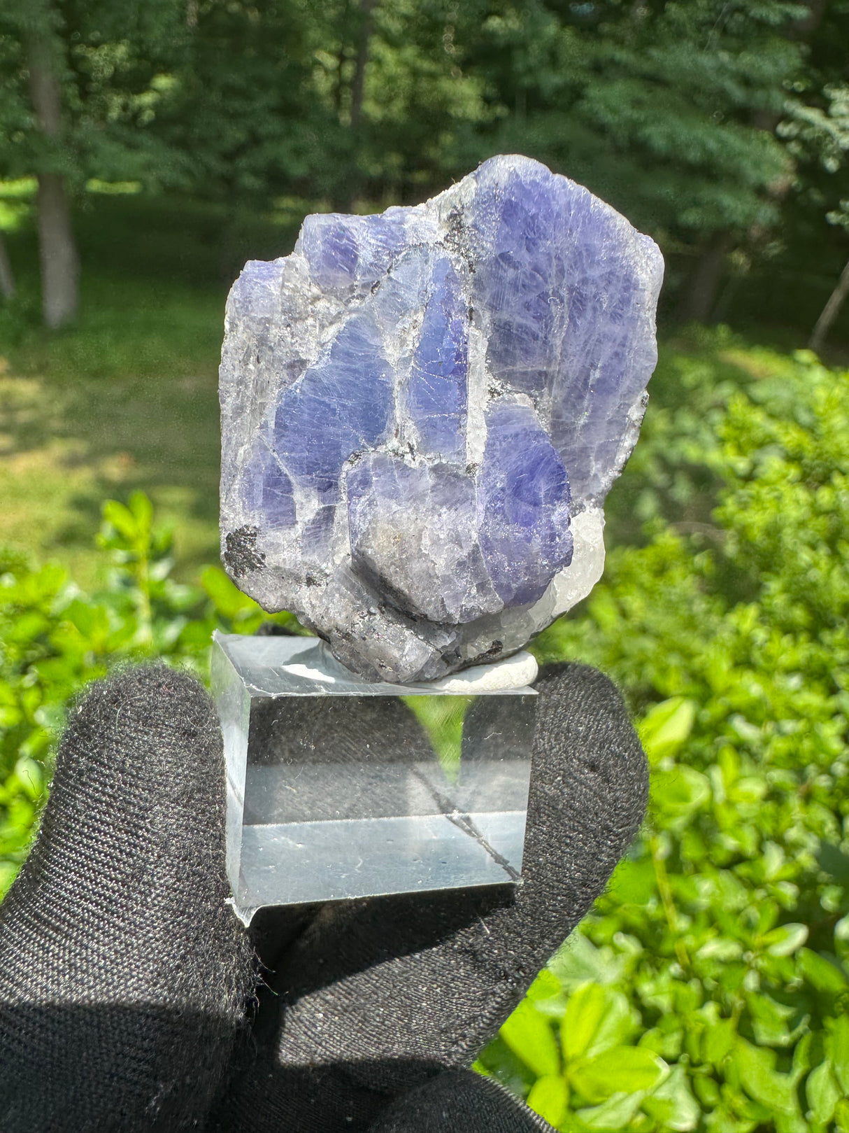 Tanzanite Specimen – 42g