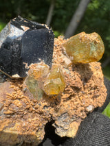 Rare Heliodor Crystal Specimen - 47g
