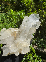 Quartz Specimen - 6.56lb