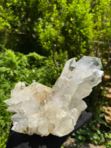 Quartz Specimen - 6.56lb