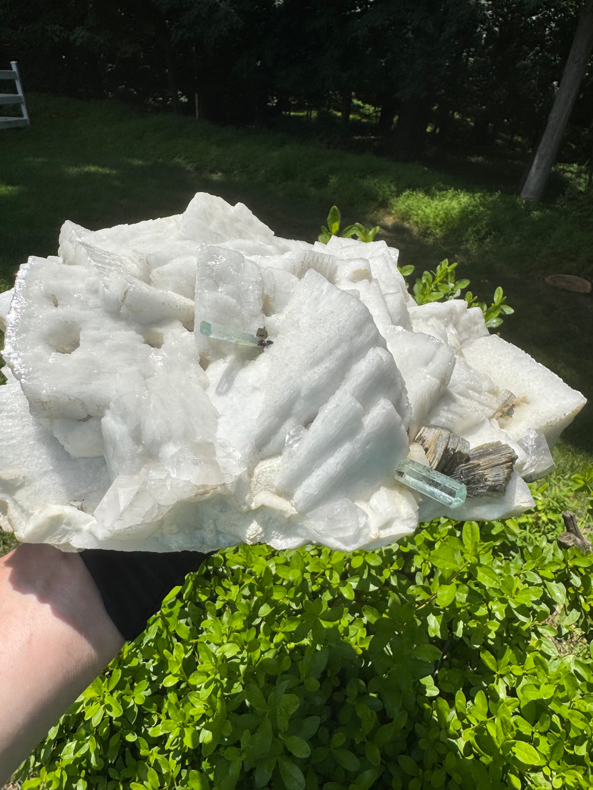 Museum-Grade Aquamarine Specimen - 15.94lb