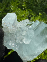 Museum-Grade Aquamarine Specimen - 38g