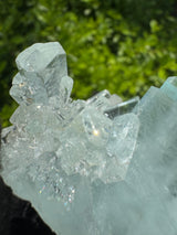 Museum-Grade Aquamarine Specimen - 38g