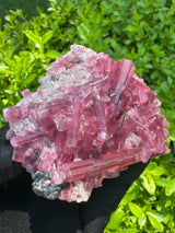 Pink Tourmaline - 151g