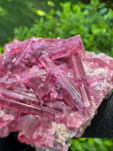 Pink Tourmaline - 151g