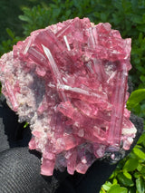 Pink Tourmaline - 151g