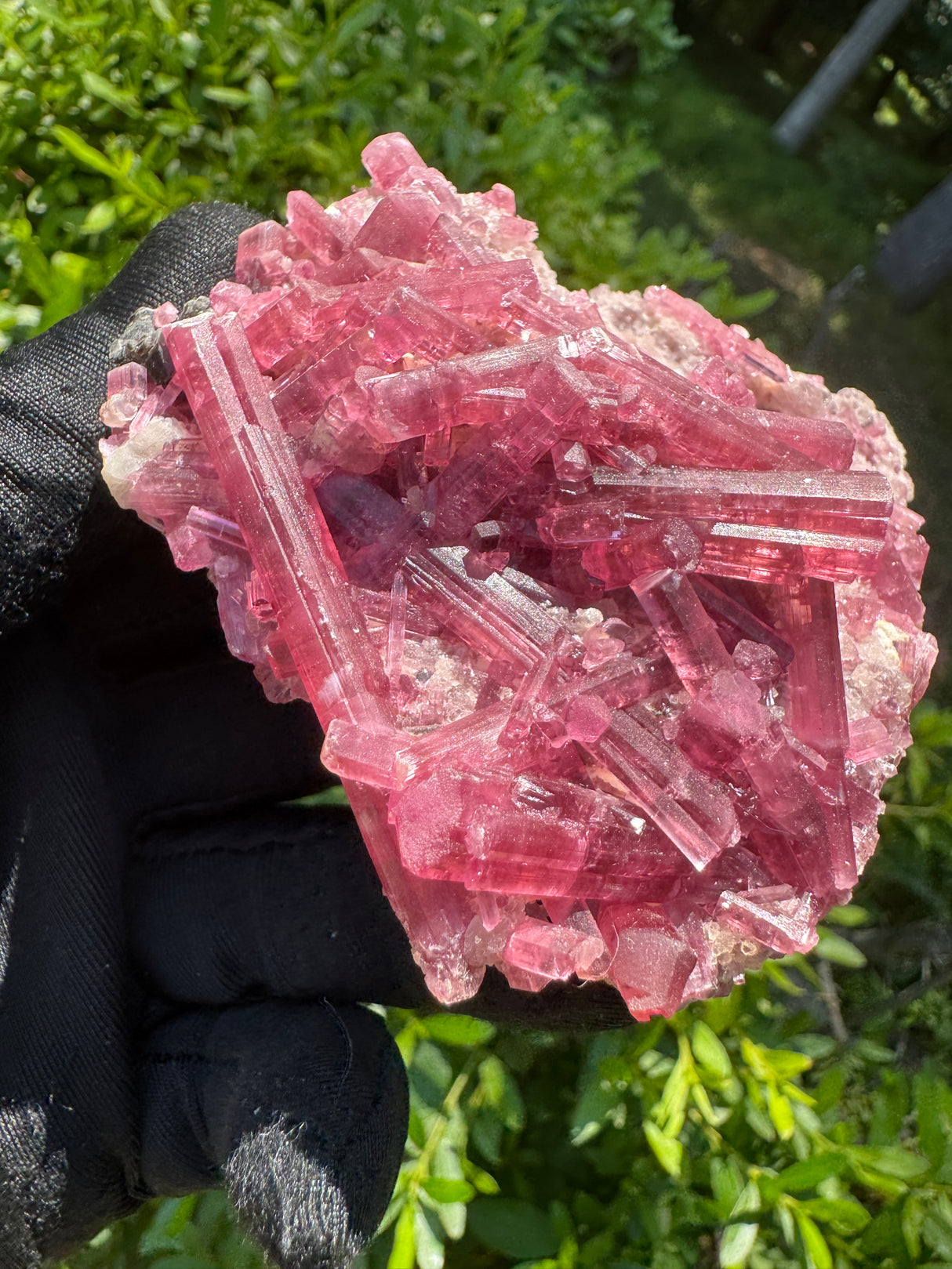 Pink Tourmaline - 151g