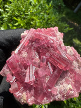 Pink Tourmaline - 151g