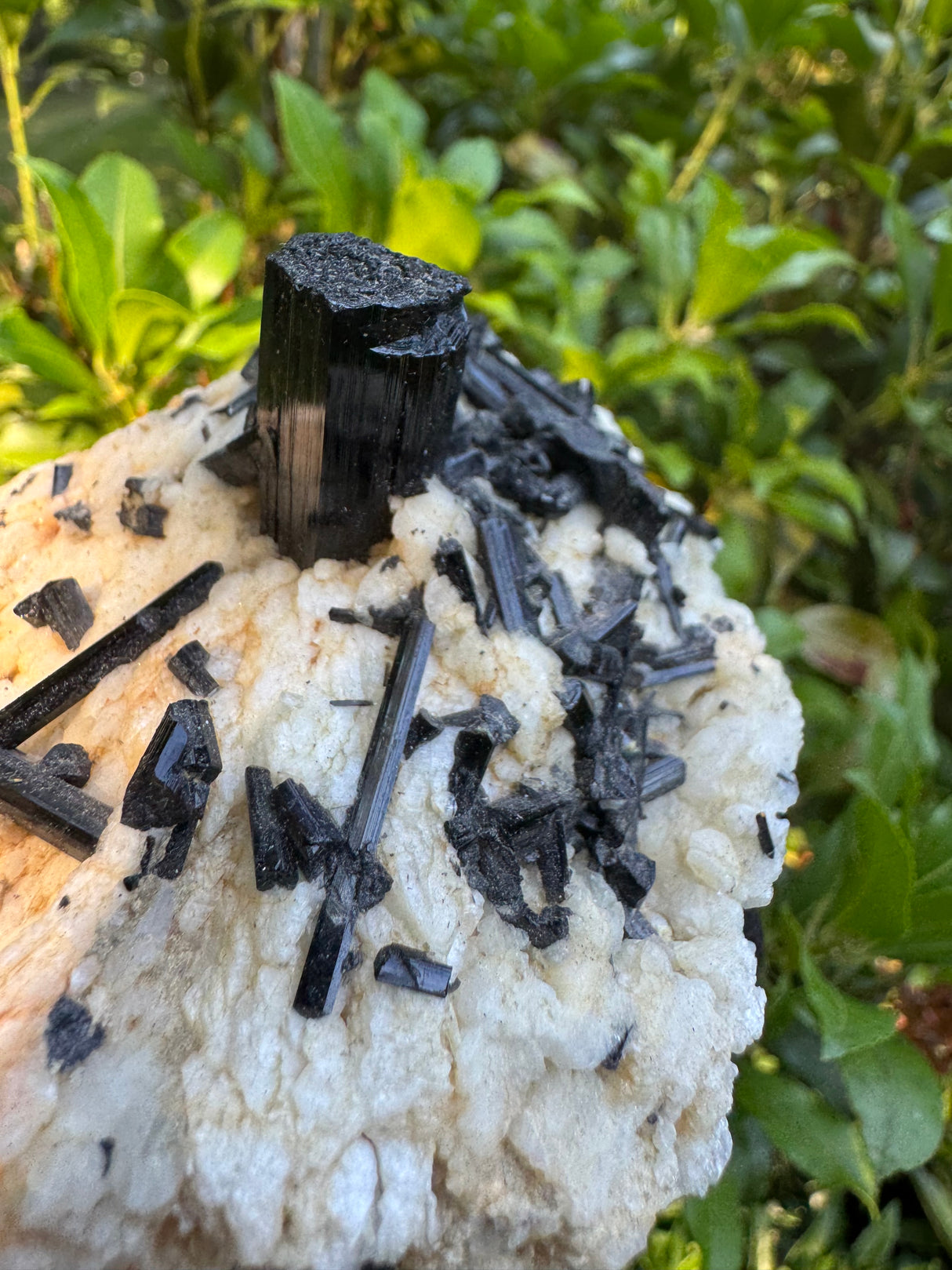 Black Tourmaline - 327g