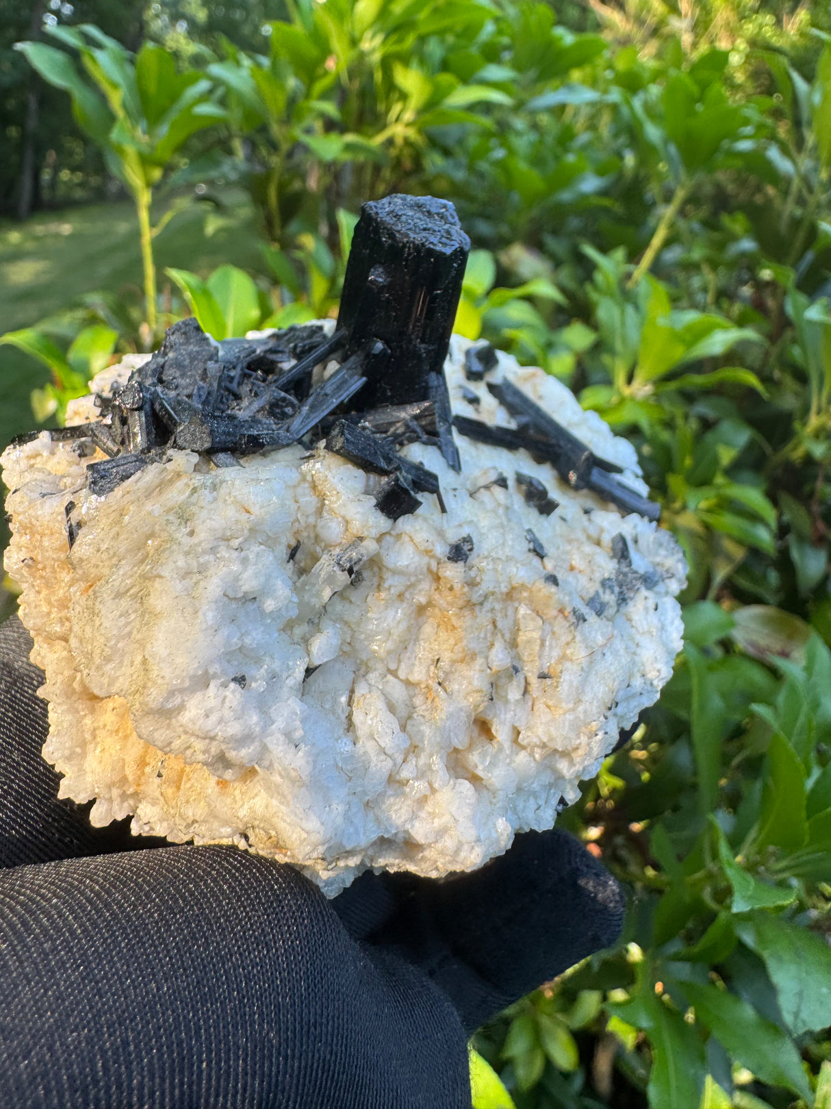 Black Tourmaline - 327g