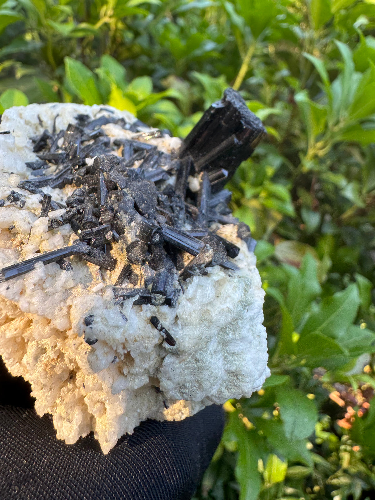 Black Tourmaline - 327g