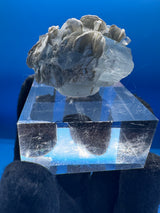 Aquamarine Crystal - 26g