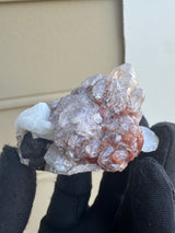 Garnet and Quartz Specimen - 116g
