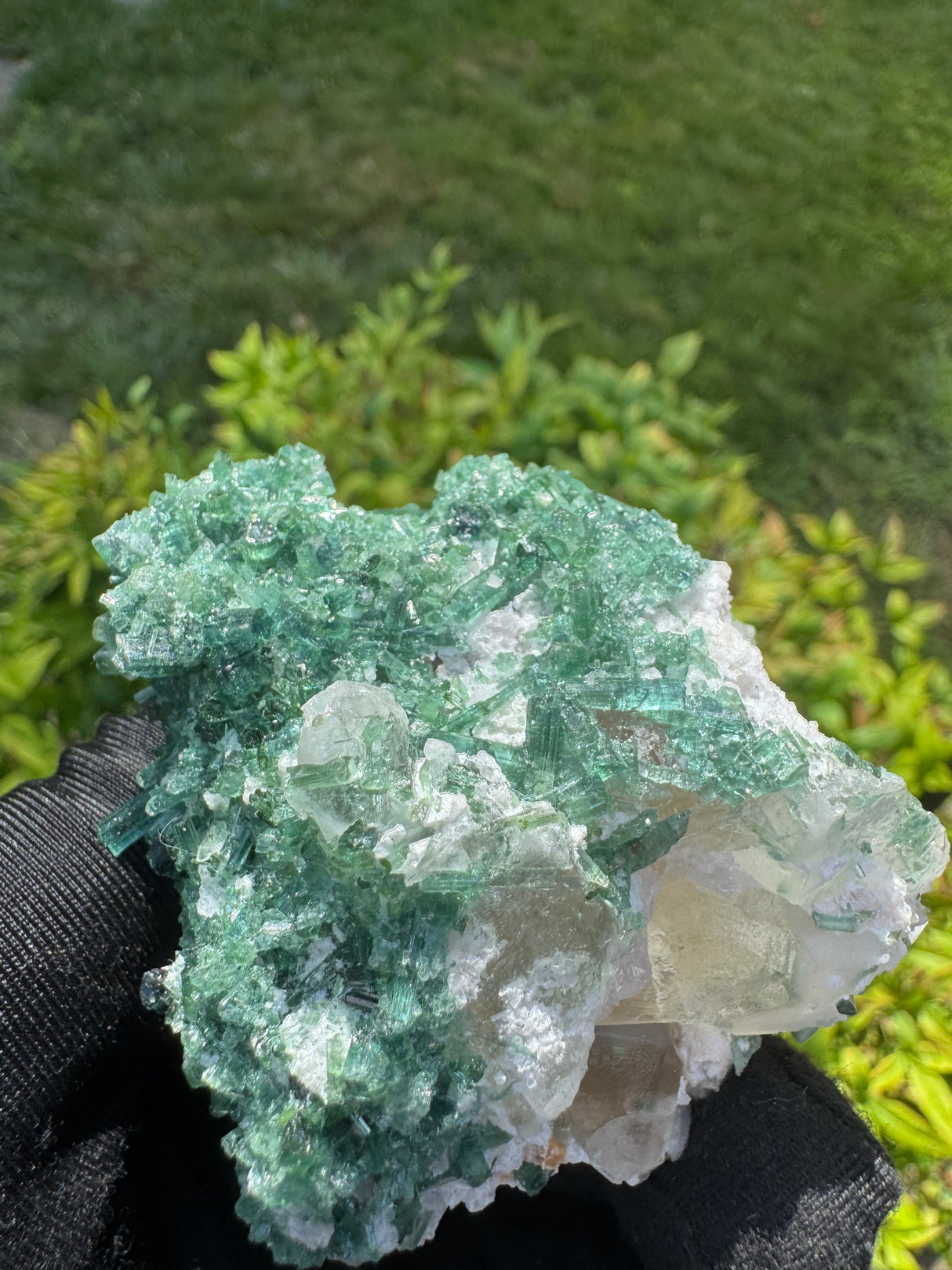 Green Tourmaline Crystal Specimen - 148g