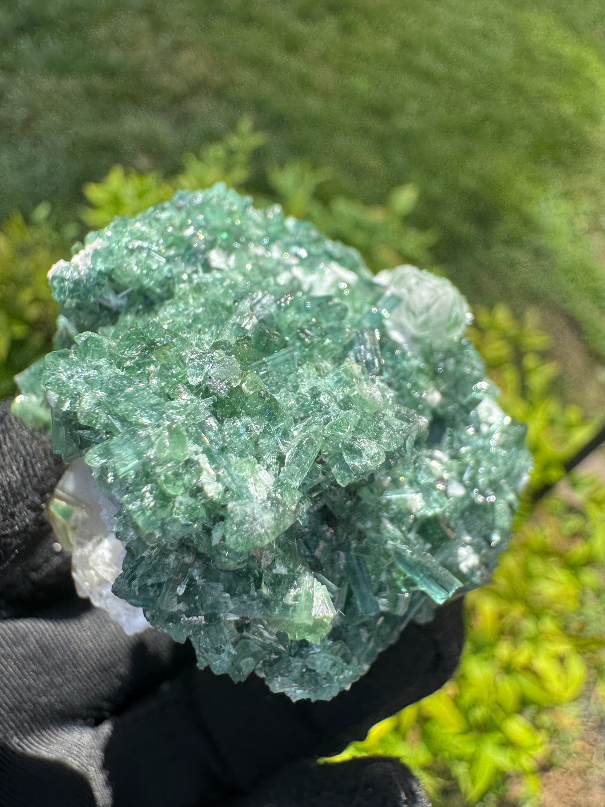 Green Tourmaline Crystal Specimen - 148g