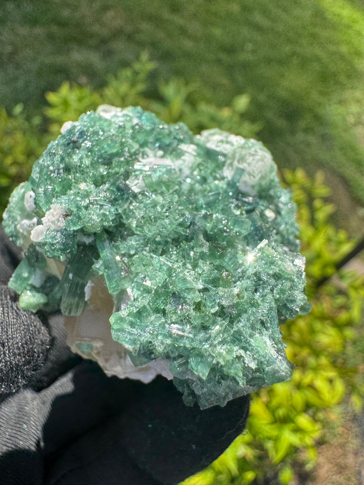 Green Tourmaline Crystal Specimen - 148g