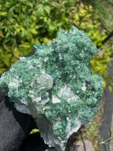 Green Tourmaline Crystal Specimen - 148g