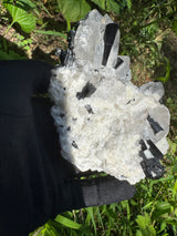 Black Tourmaline & Quartz - 726g