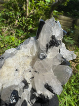 Black Tourmaline & Quartz - 726g