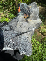 Tourmaline and Quartz Specimen - 708g