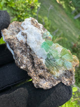 Emerald Specimen - 62g