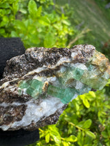 Emerald Specimen - 62g