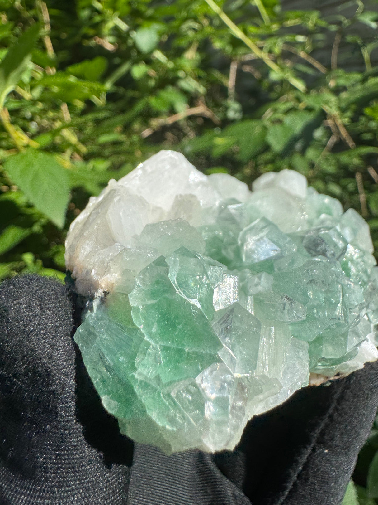 Green Apophyllite - 252g