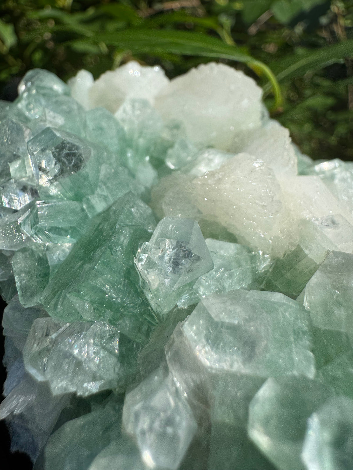 Green Apophyllite - 252g