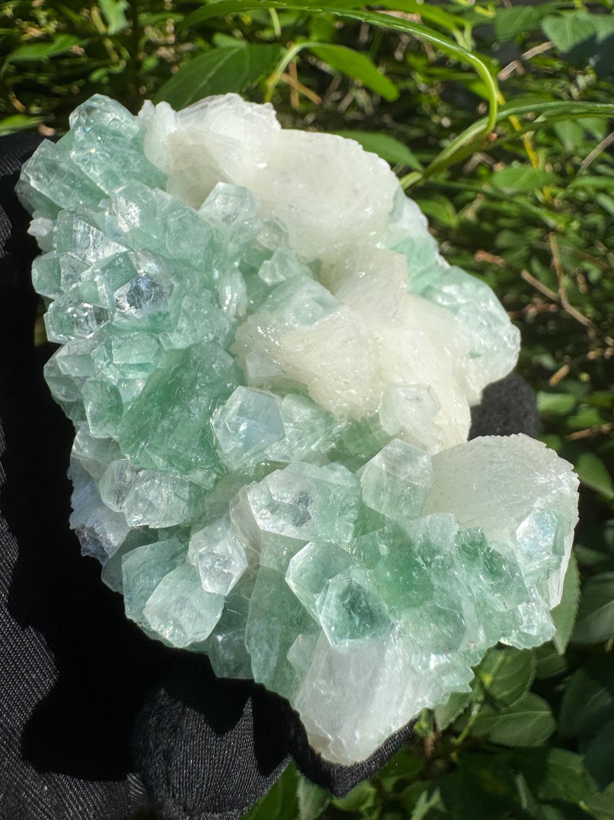 Green Apophyllite - 252g