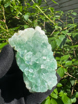 Green Apophyllite - 311g
