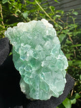 Green Apophyllite - 311g
