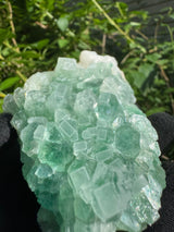 Green Apophyllite - 311g